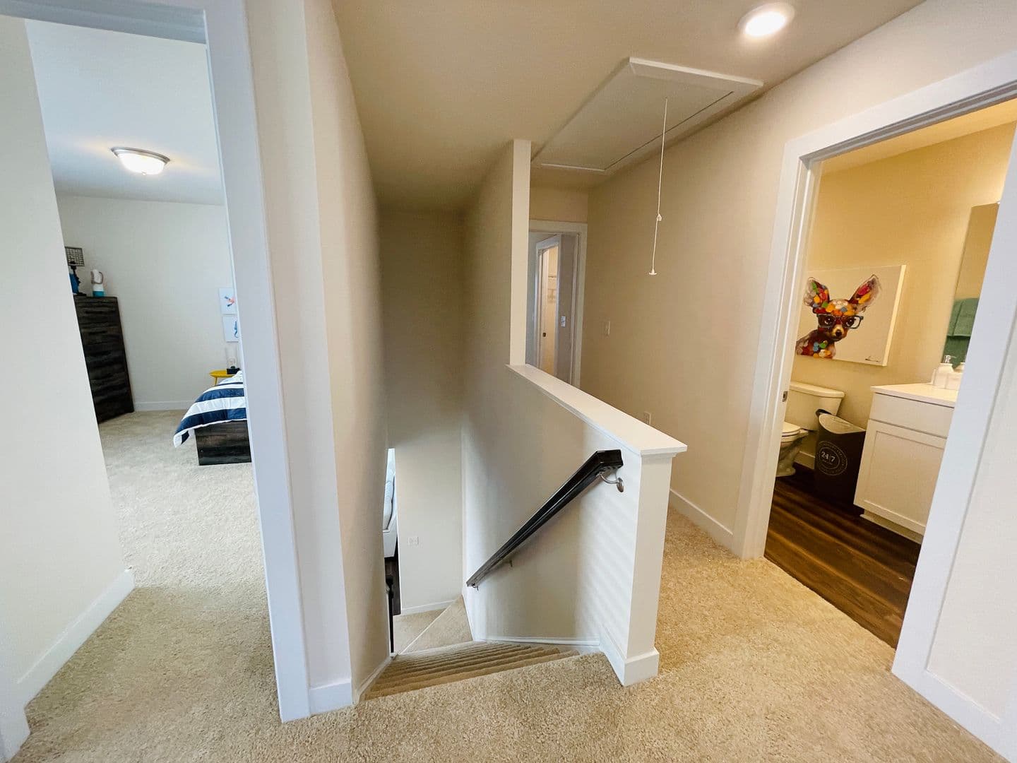 Midlothian Townhome: 12693 Petrel Crossing