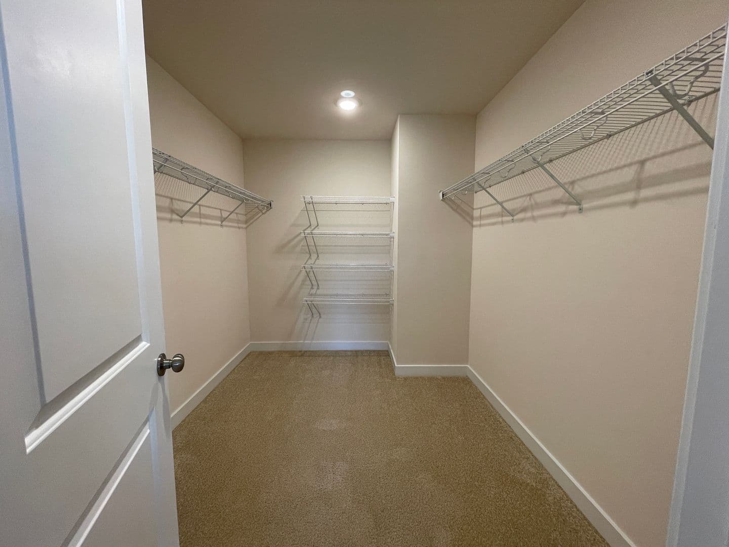 Midlothian Townhome: 12021 Petrel Crossing