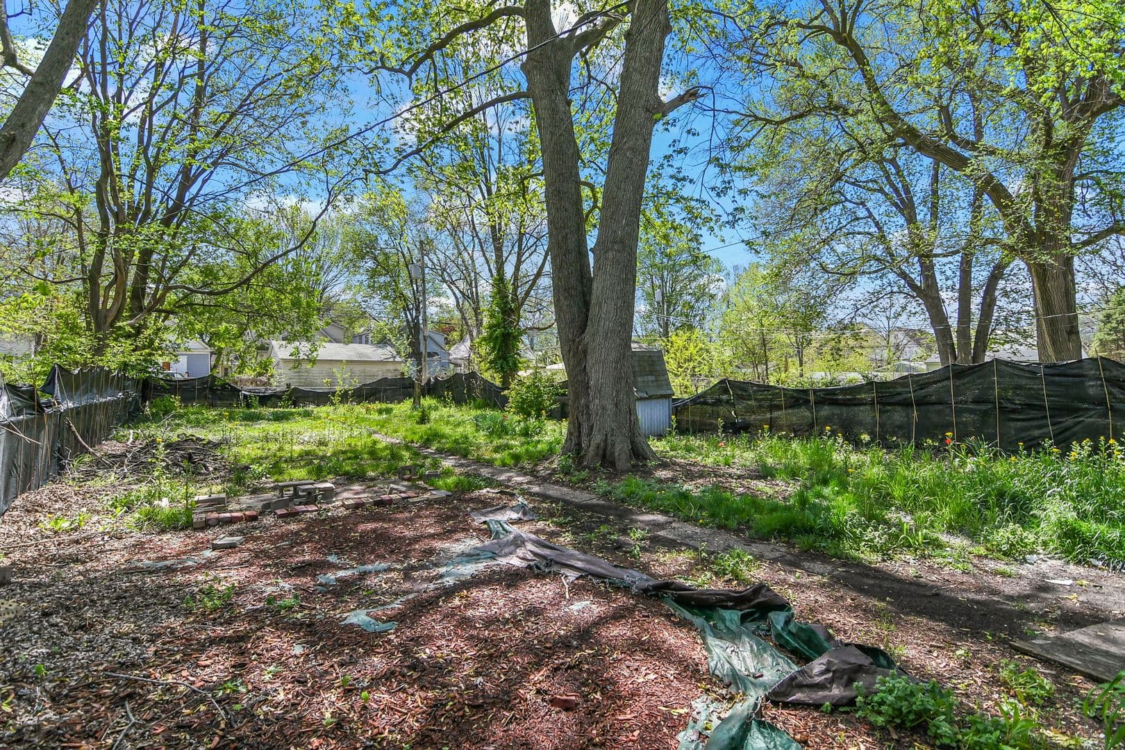 Springfield House: 1130 E. Cedar St.