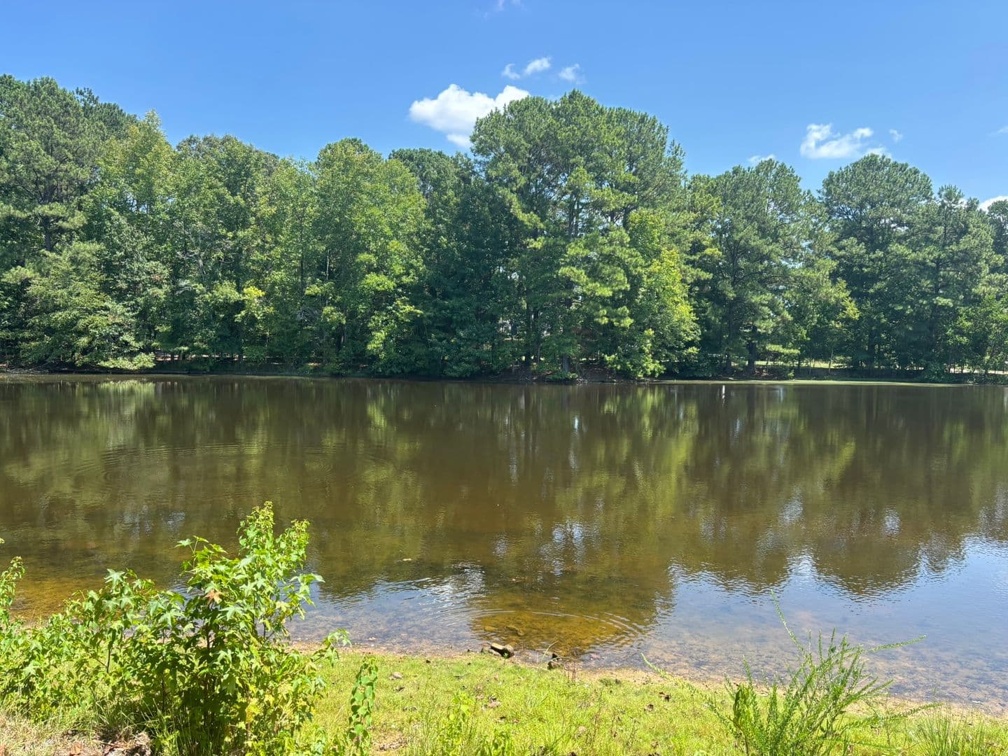 Fortson House: 41 Mallard lane