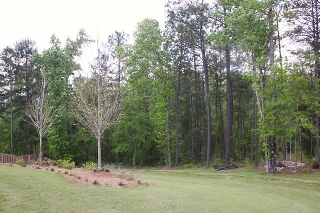 Columbus House: 7165 Bridgemill Drive