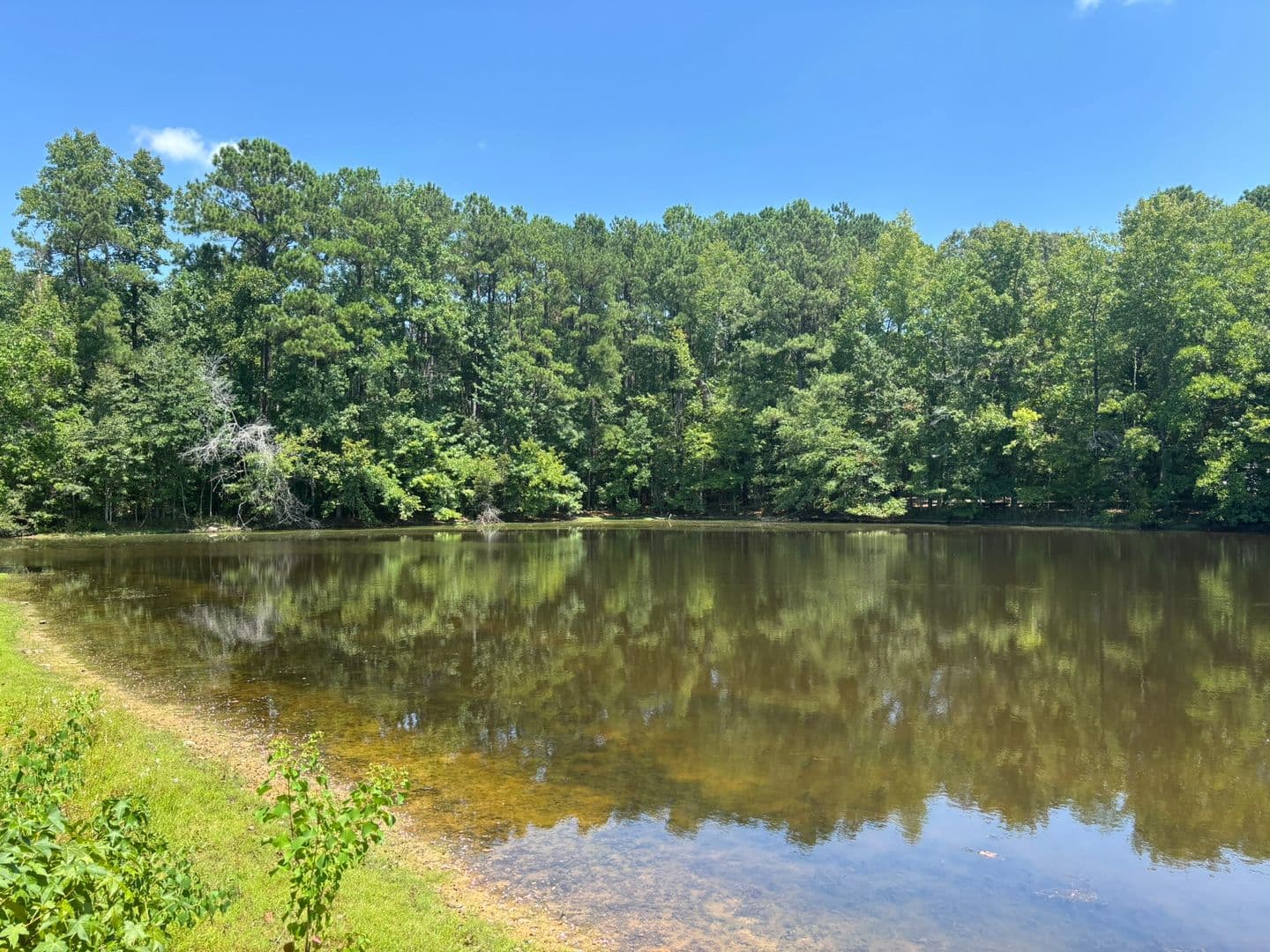 Fortson House: 41 Mallard lane