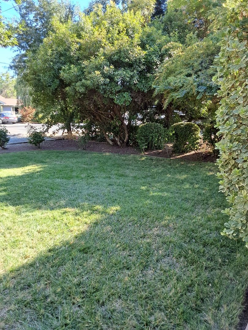 Chico House: 938 W. 12th Ave.