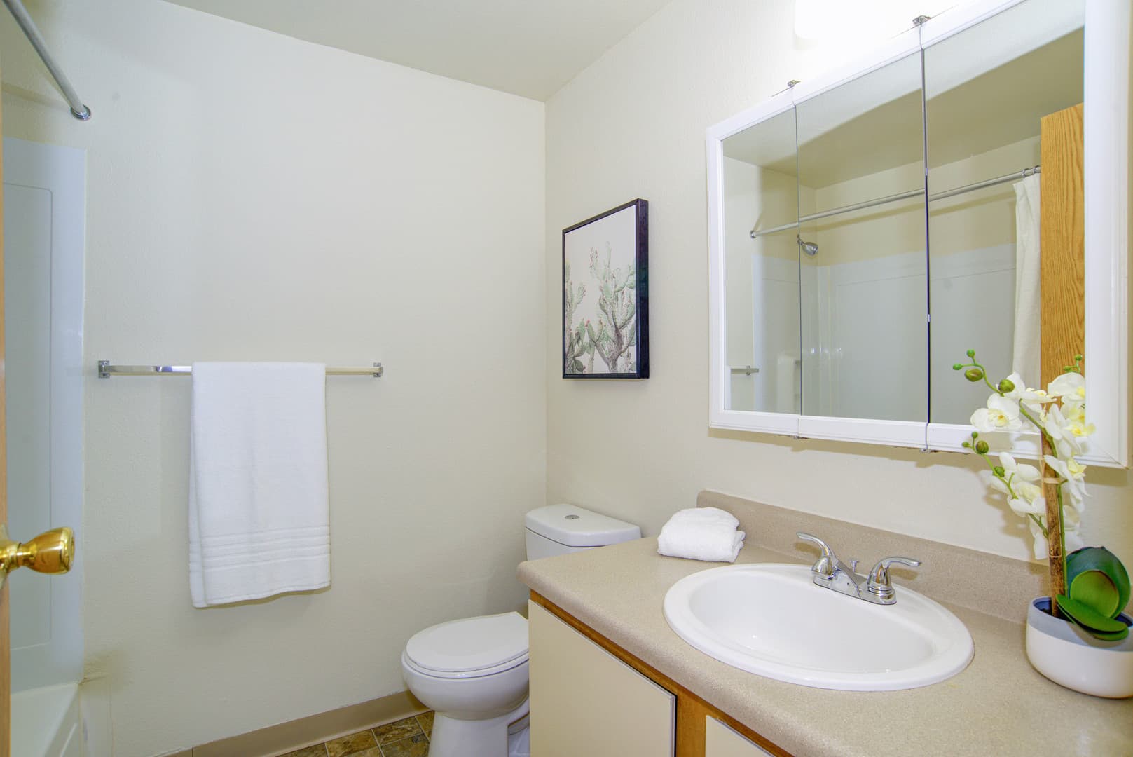 Seattle Apartment: 6901 Delridge Way SW