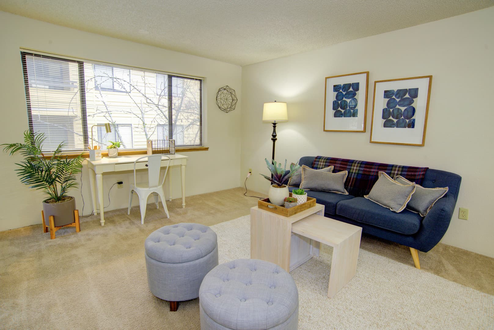 Seattle Apartment: 6901 Delridge Way SW