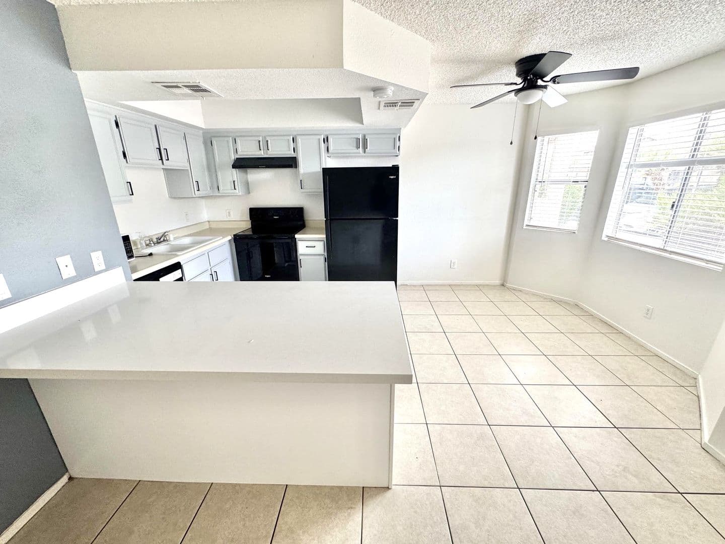 Las Vegas Condo: 1608 Burningwood Ln. #101