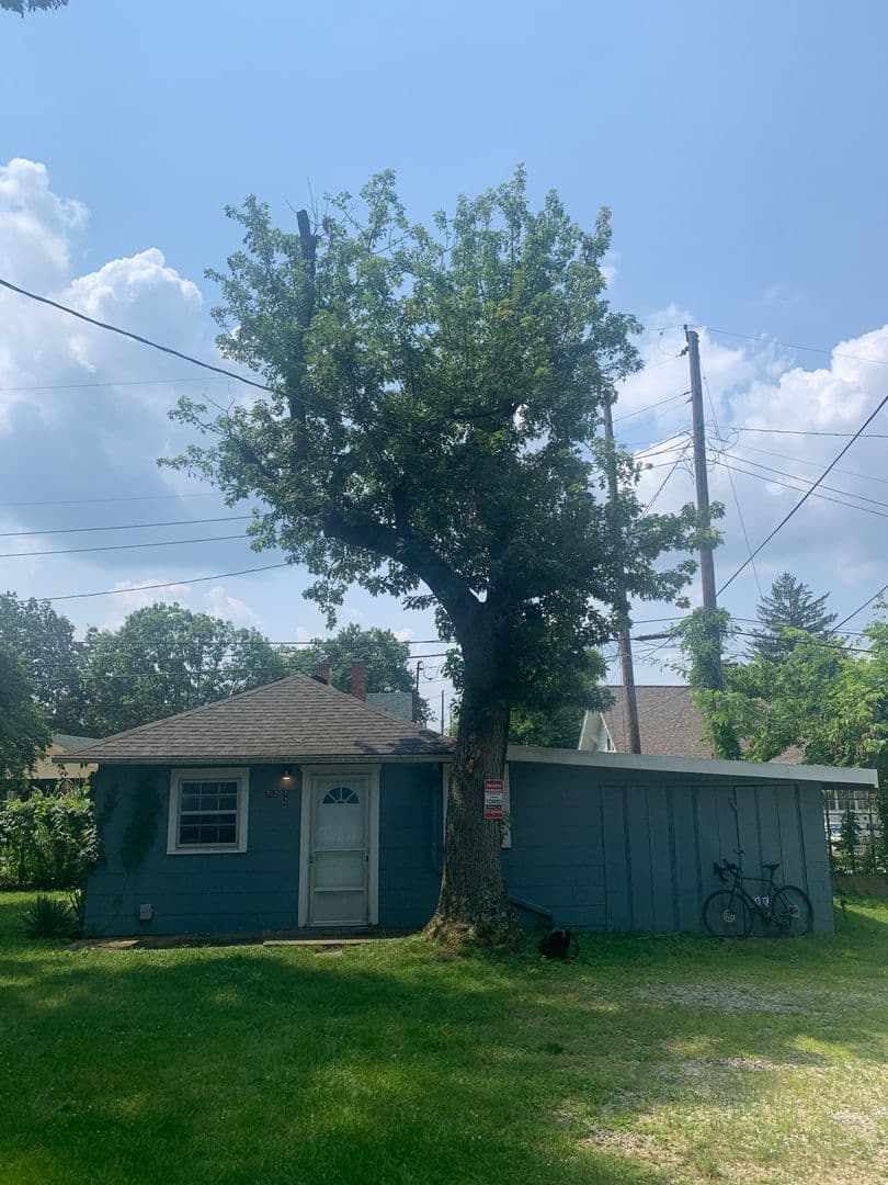 Bloomington Apartment: 712 1/2 E. Cottage Grove Ave