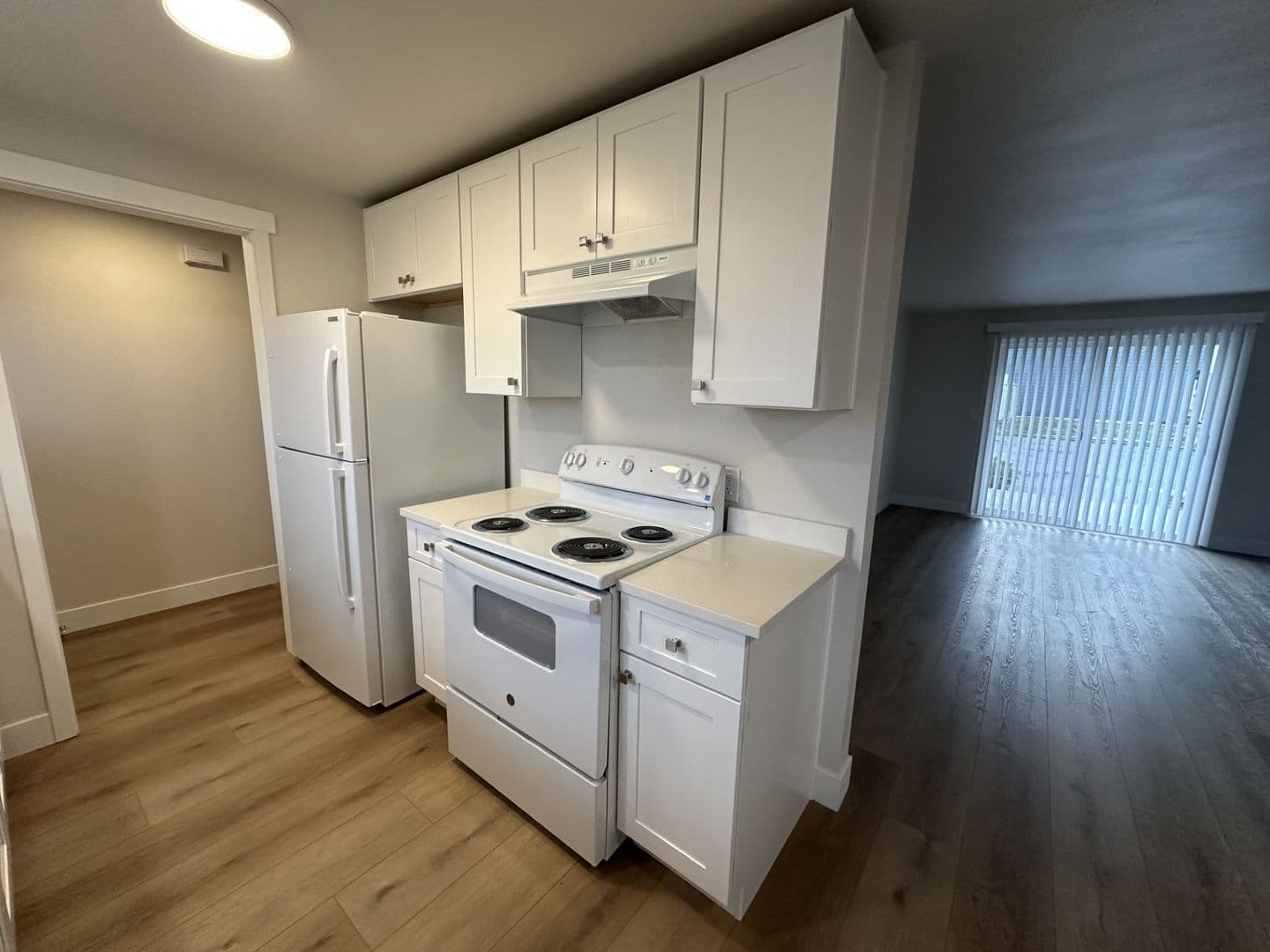 Boardman Apartment: 302 N. Main Street