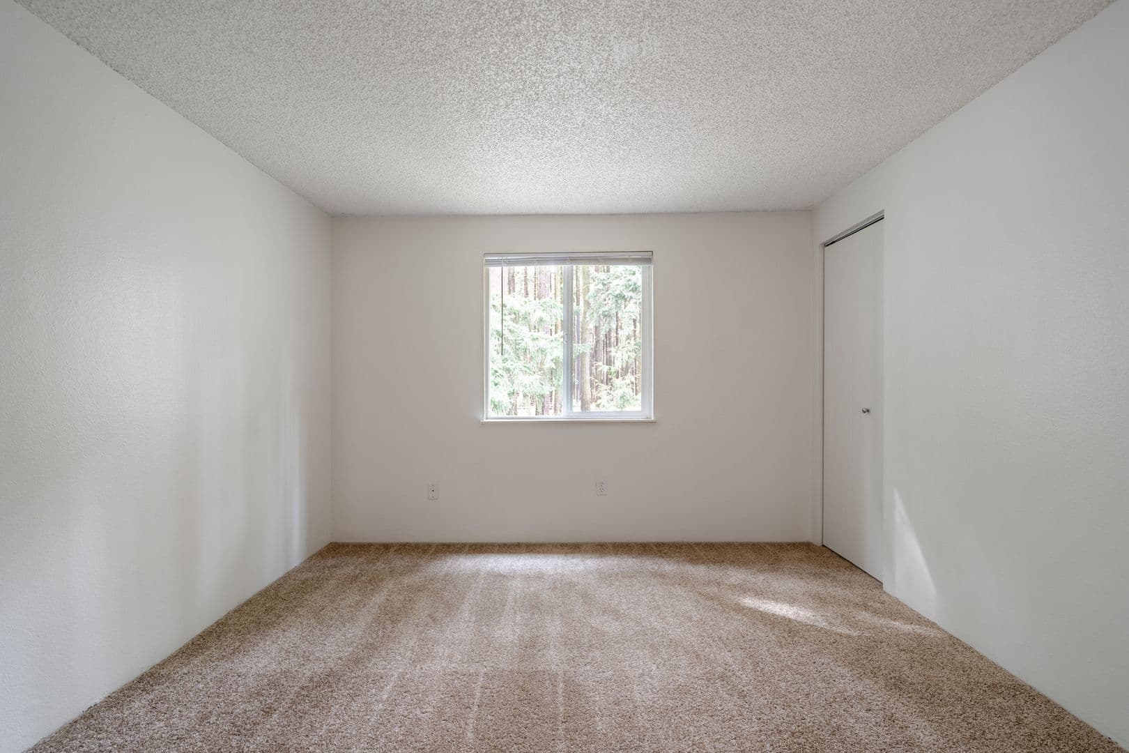 Portland Apartment: 8778 Columbia Blvd