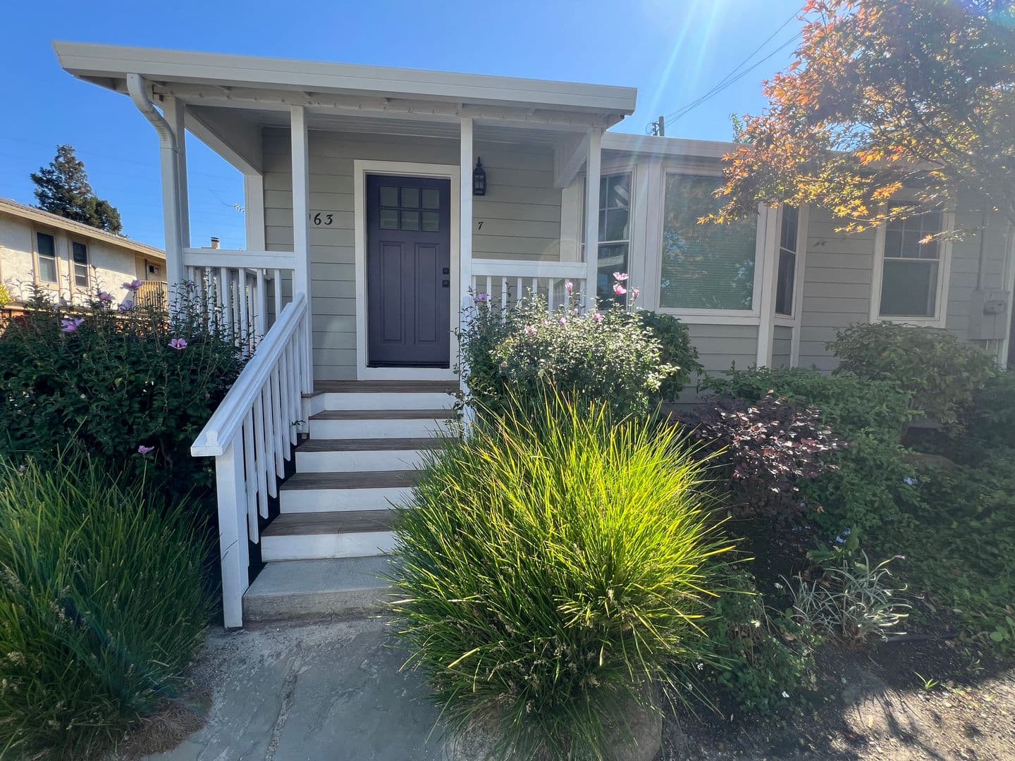 Walnut Creek Apartment: 1963 Trinity Ave