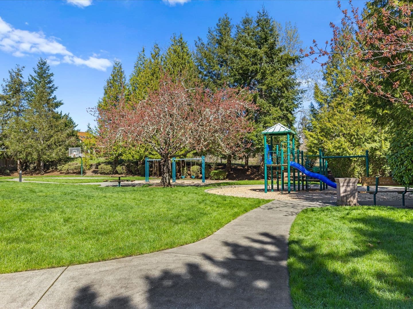 Sammamish House: 2441 278th Court SE