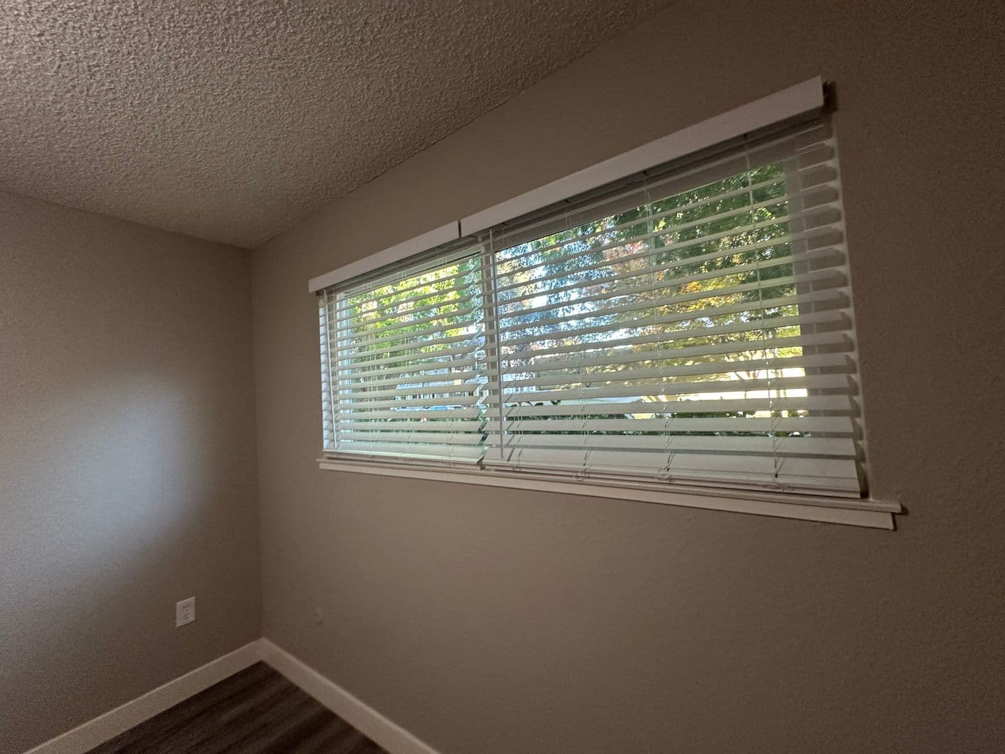 Sacramento Apartment: 1731 O Street - 5