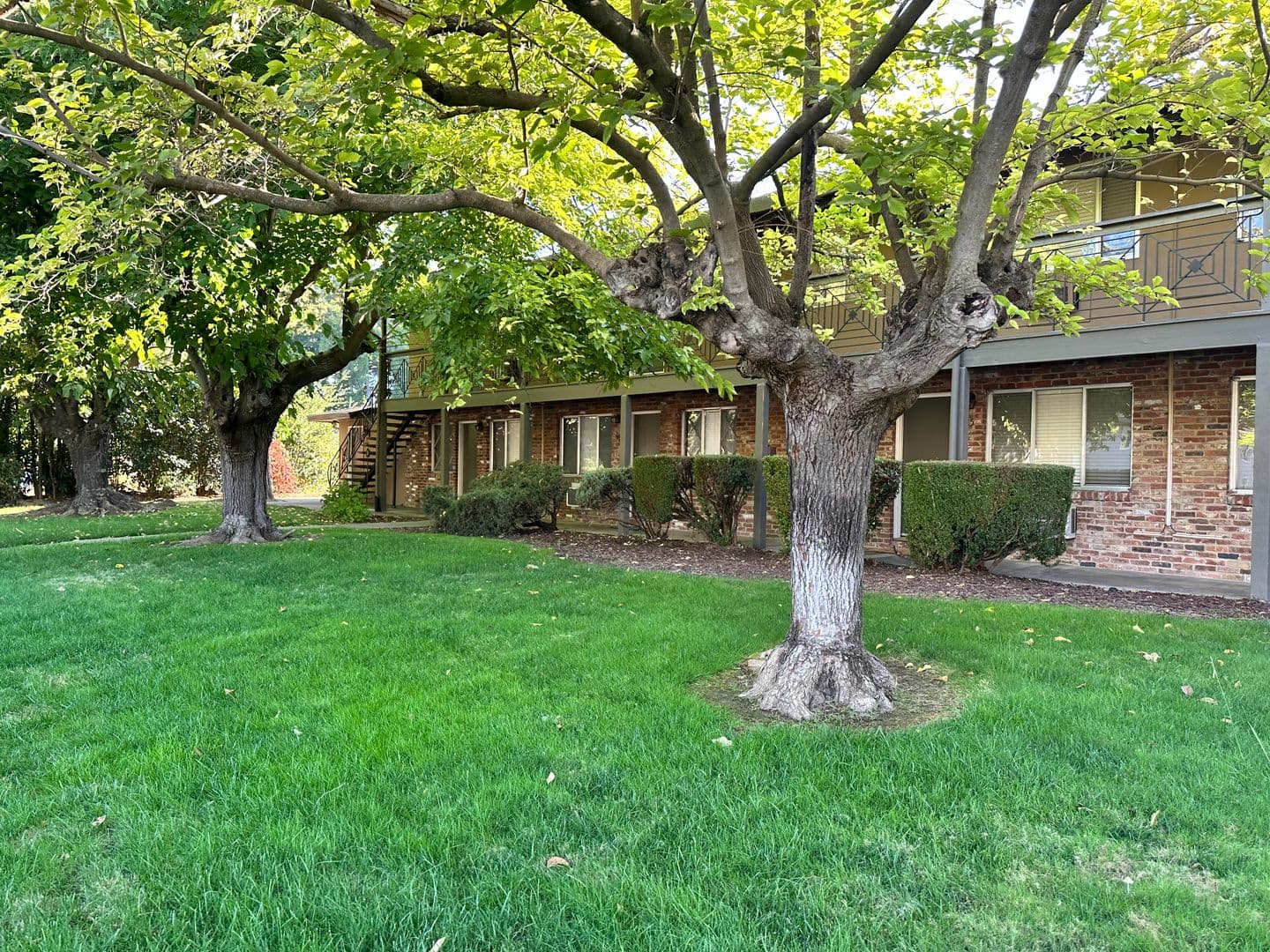 Sacramento Apartment: 5484 Carlson Drive