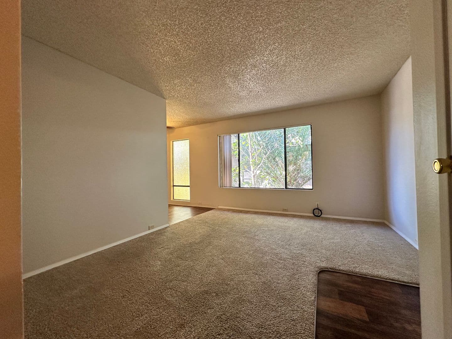 Sacramento Apartment: 1616 Q Street