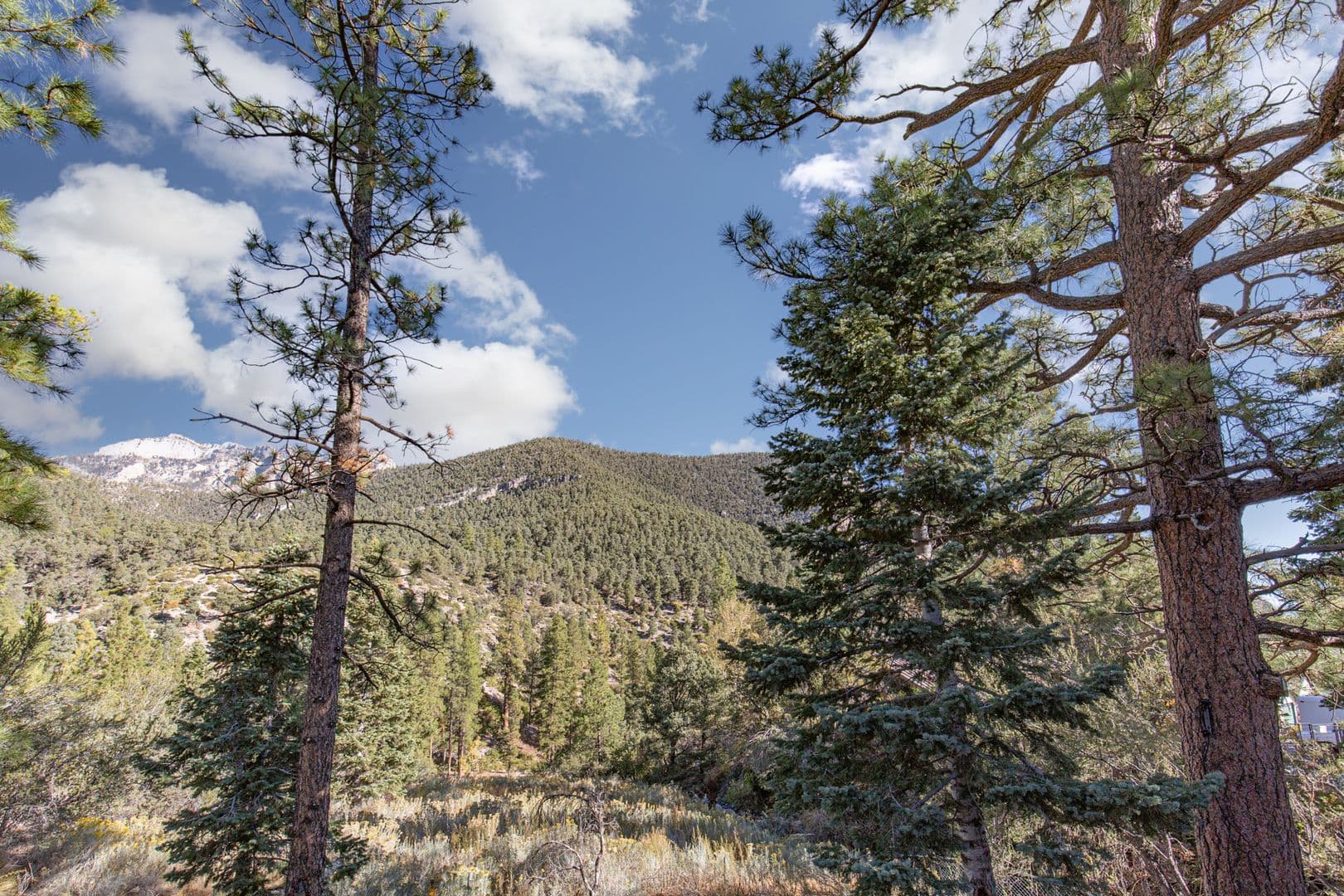 Mount Charleston House: 3990 Arlberg Way