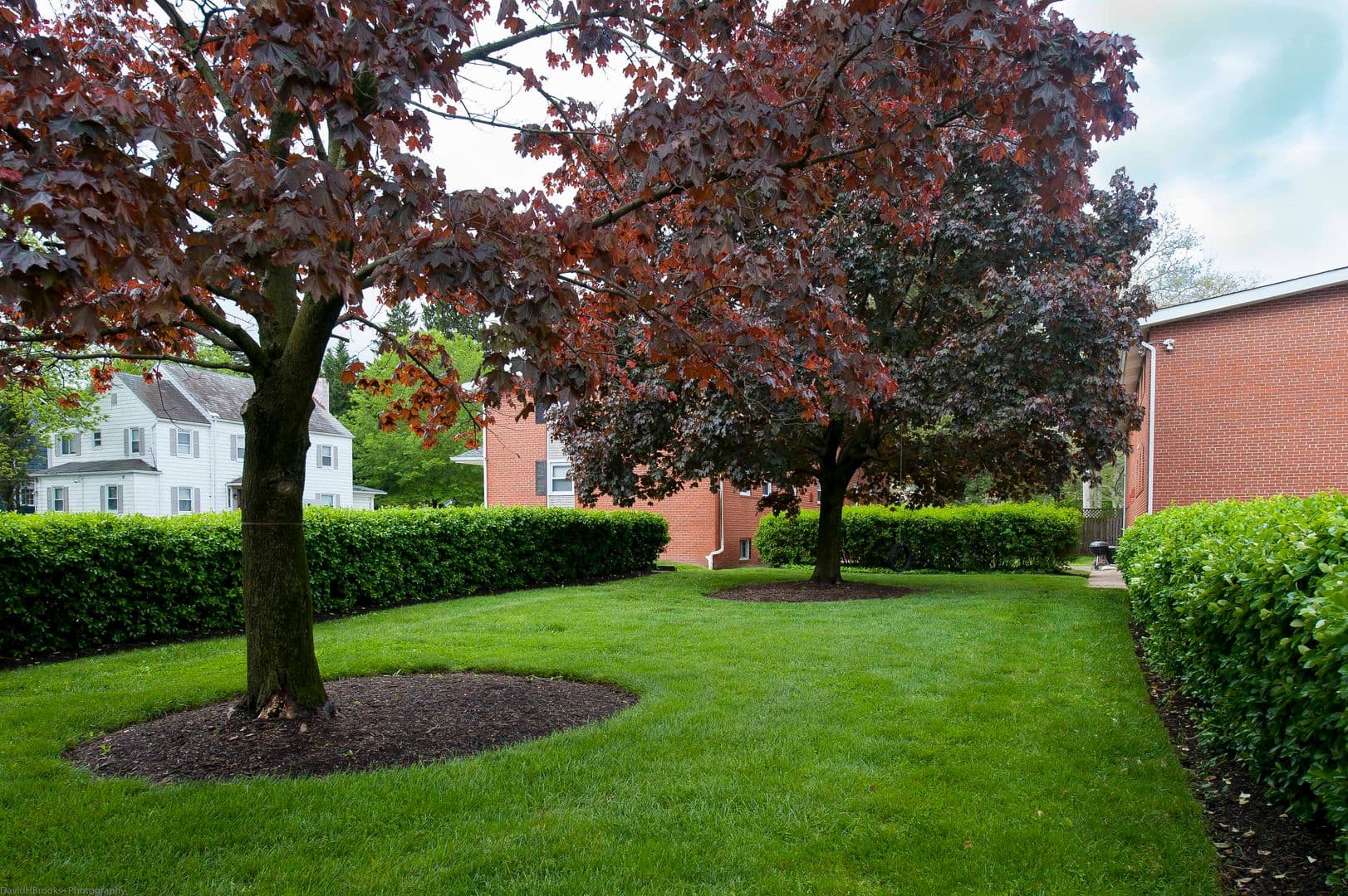 Baltimore Apartment: 2432-2434 Everton Rd