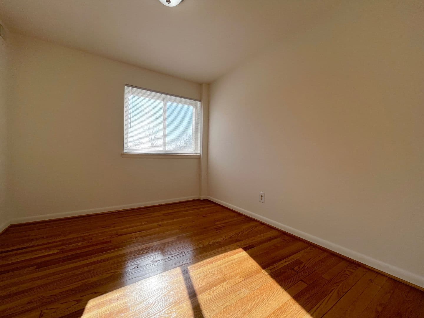 Baltimore Apartment: 4221-4233 Hickory Ave