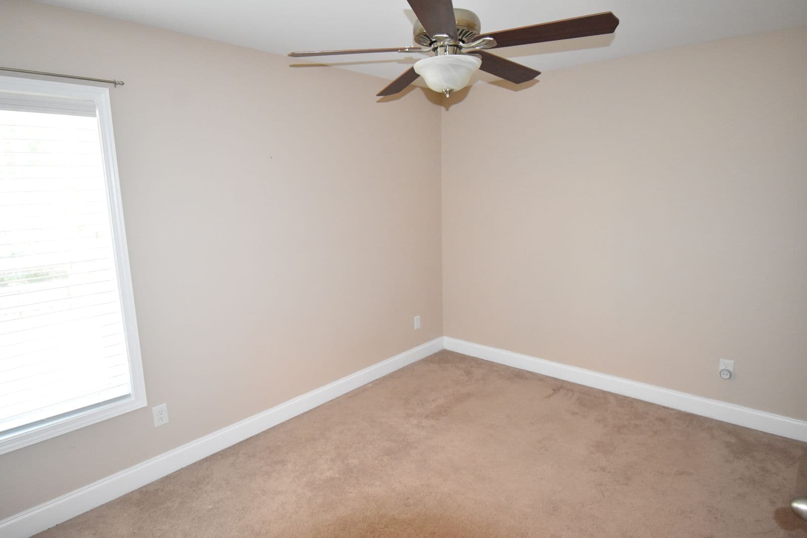 Fayetteville House: 4221 Raccoon Path