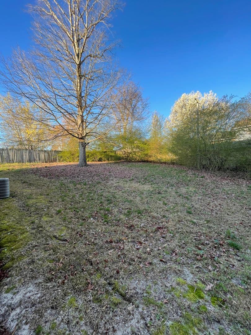 Fayetteville House: 1536 Rossmore Dr