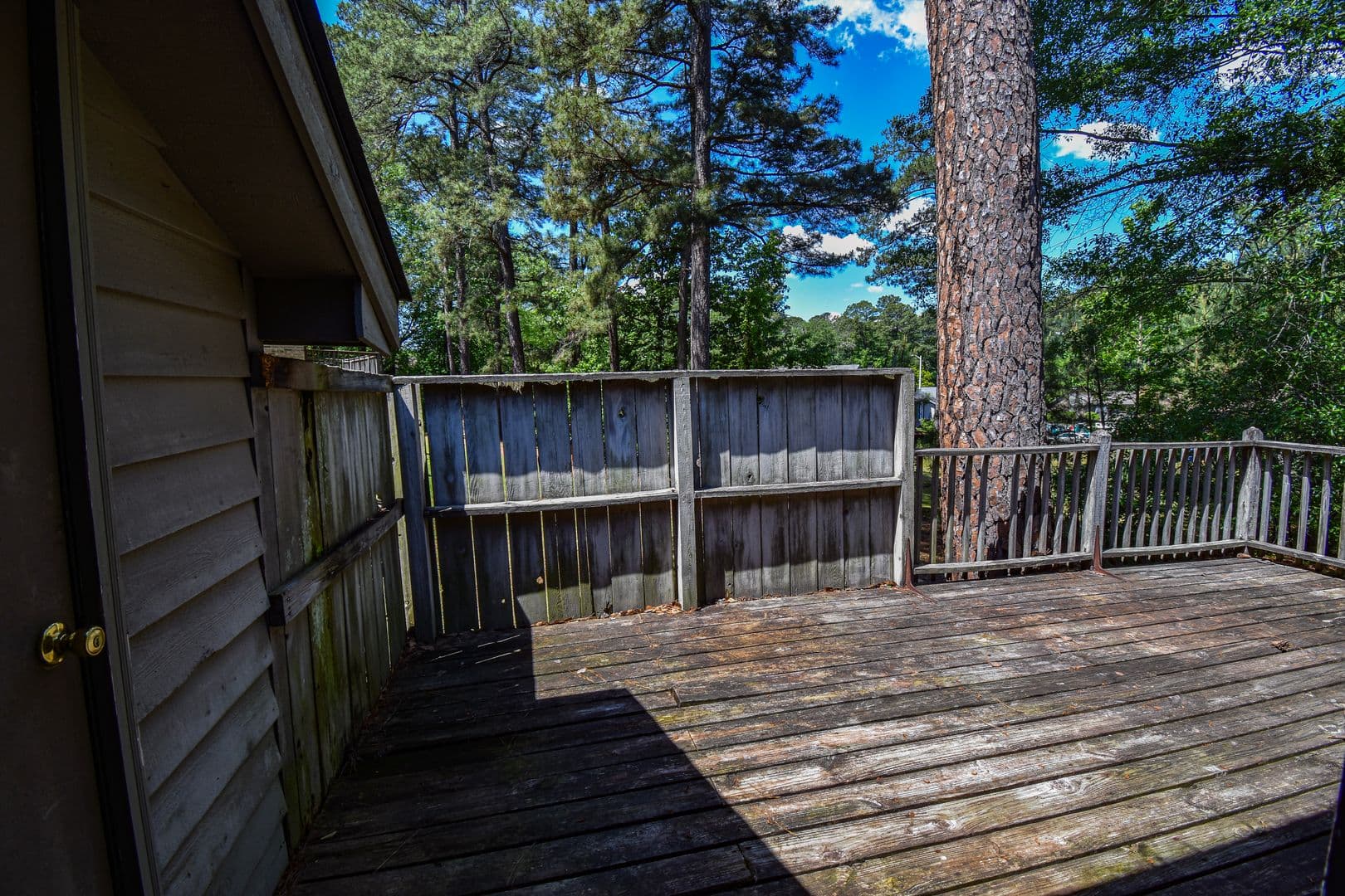 Fayetteville Apartment: Homeplace Ct