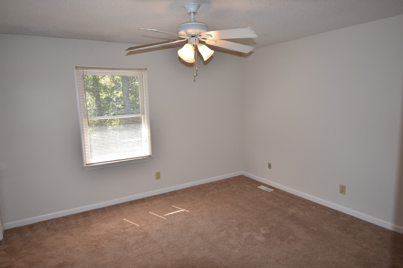 Fayetteville Apartment: 244 Wickford Ct