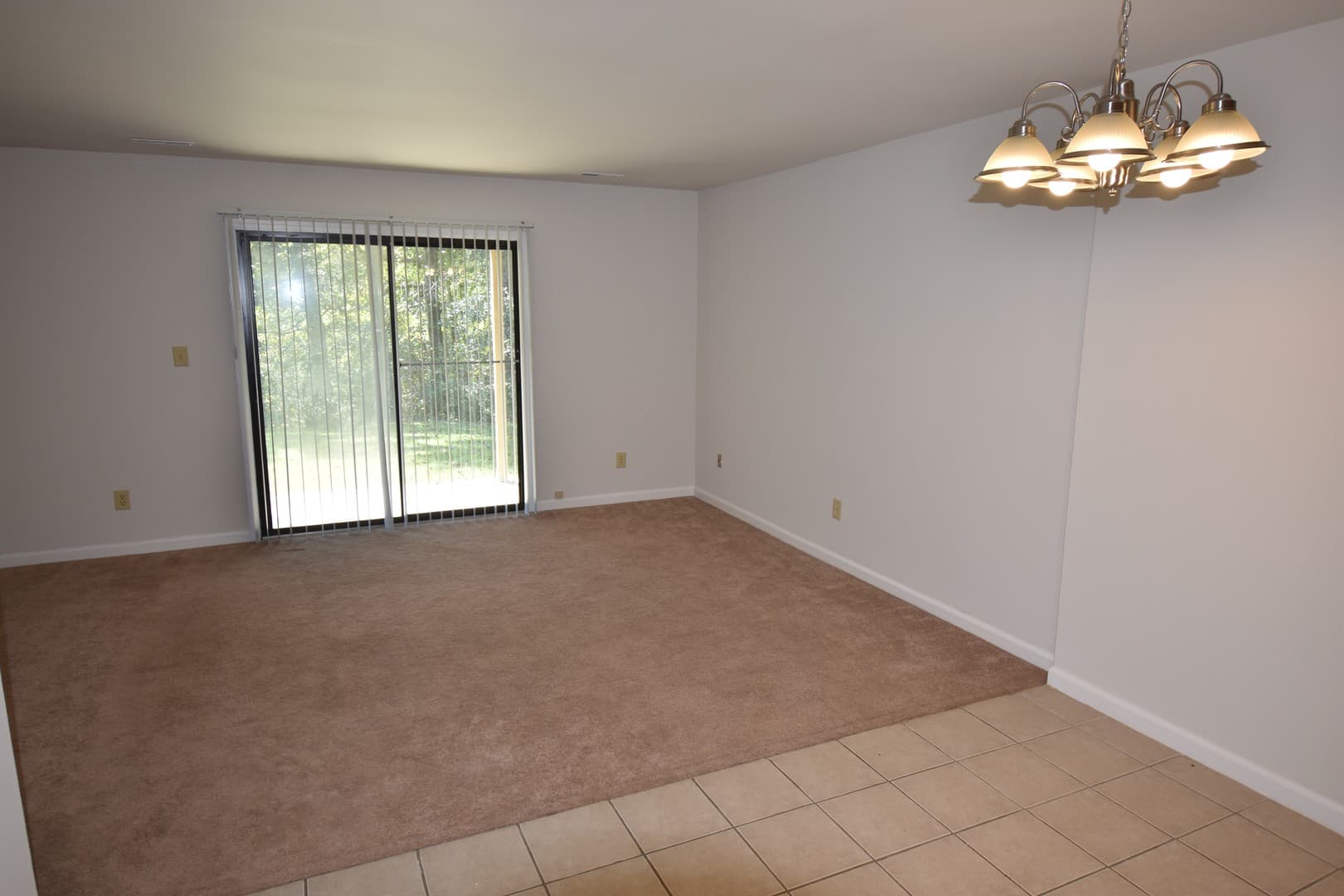 Fayetteville Apartment: 244 Wickford Ct