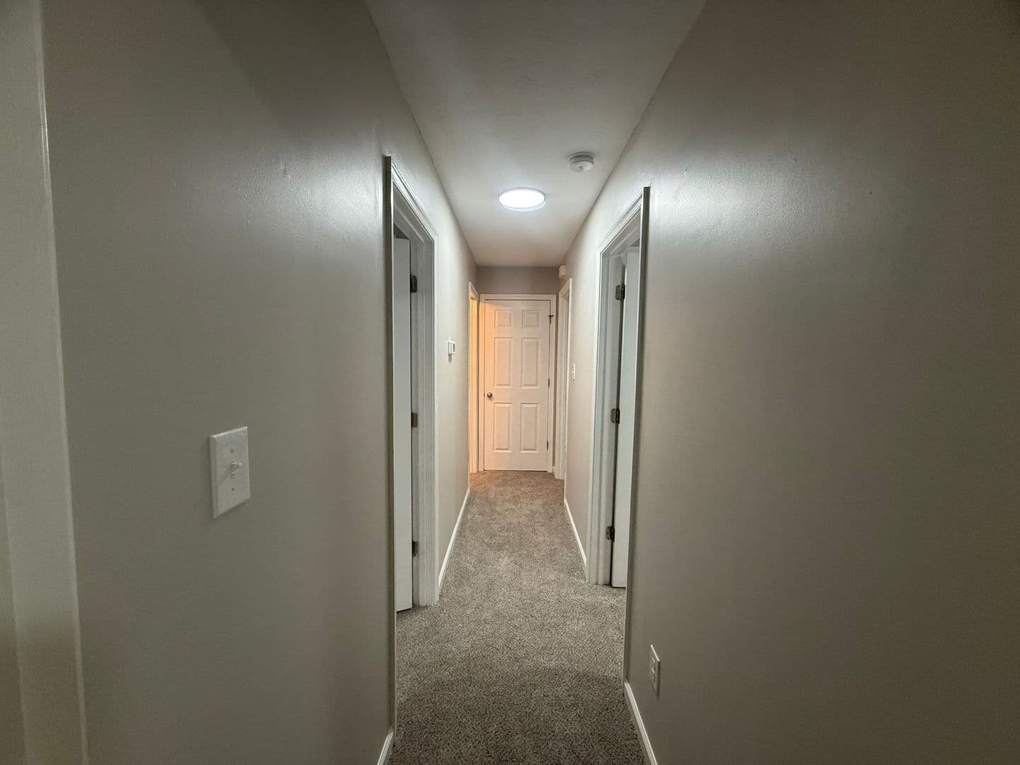 Amherst Apartment: 135-137 Cooper Street
