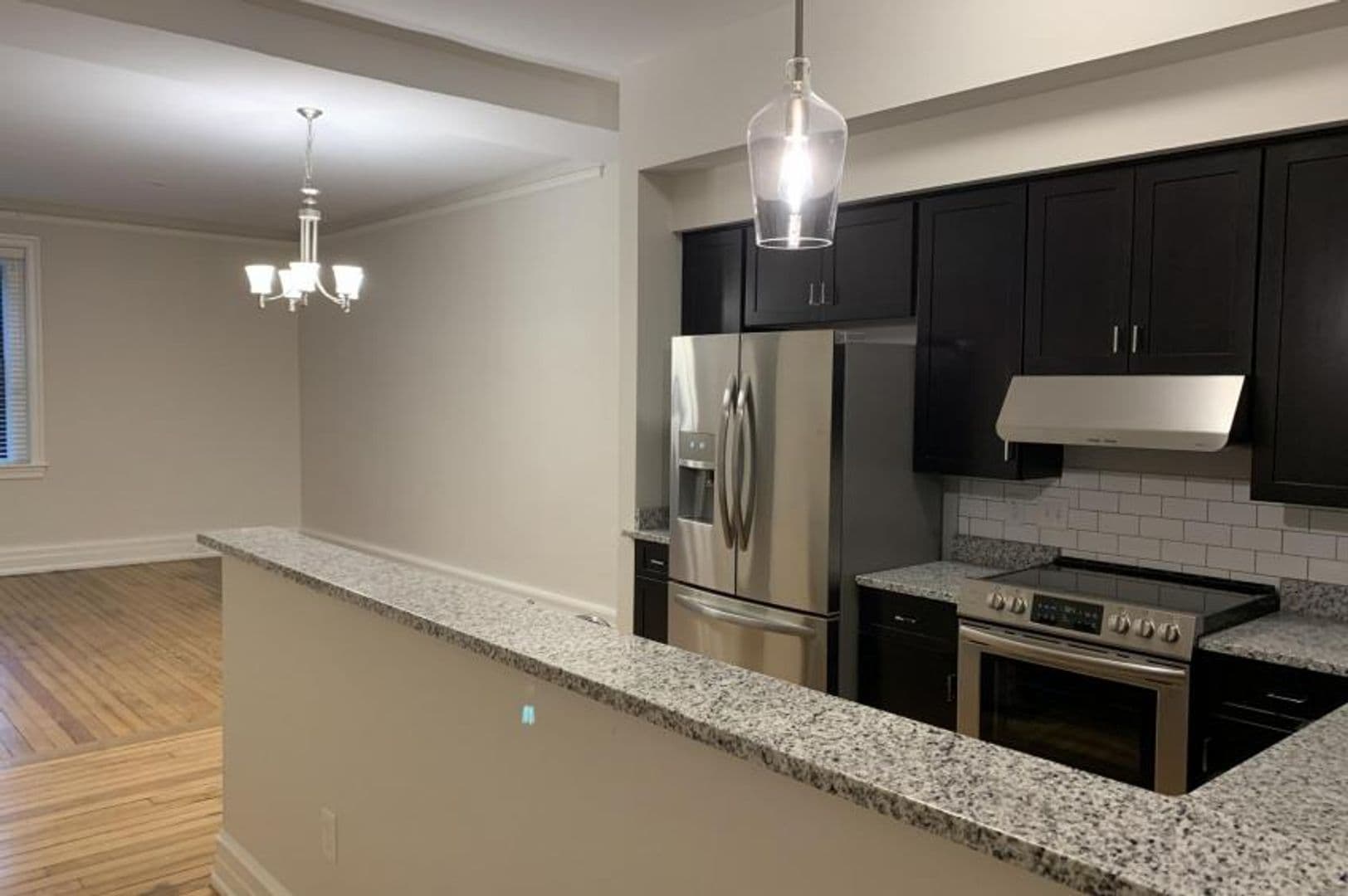 Lynchburg Apartment: 203 9th Street