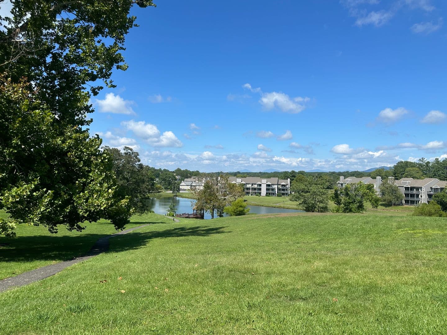 Forest Condo: 1312 Twin Springs Court