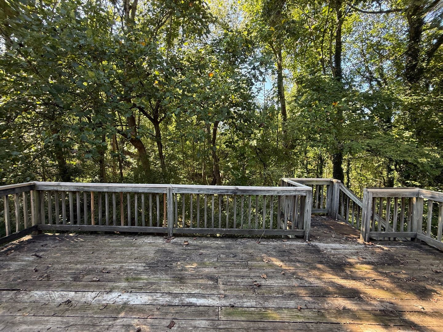 Amherst Apartment: 135-137 Cooper Street