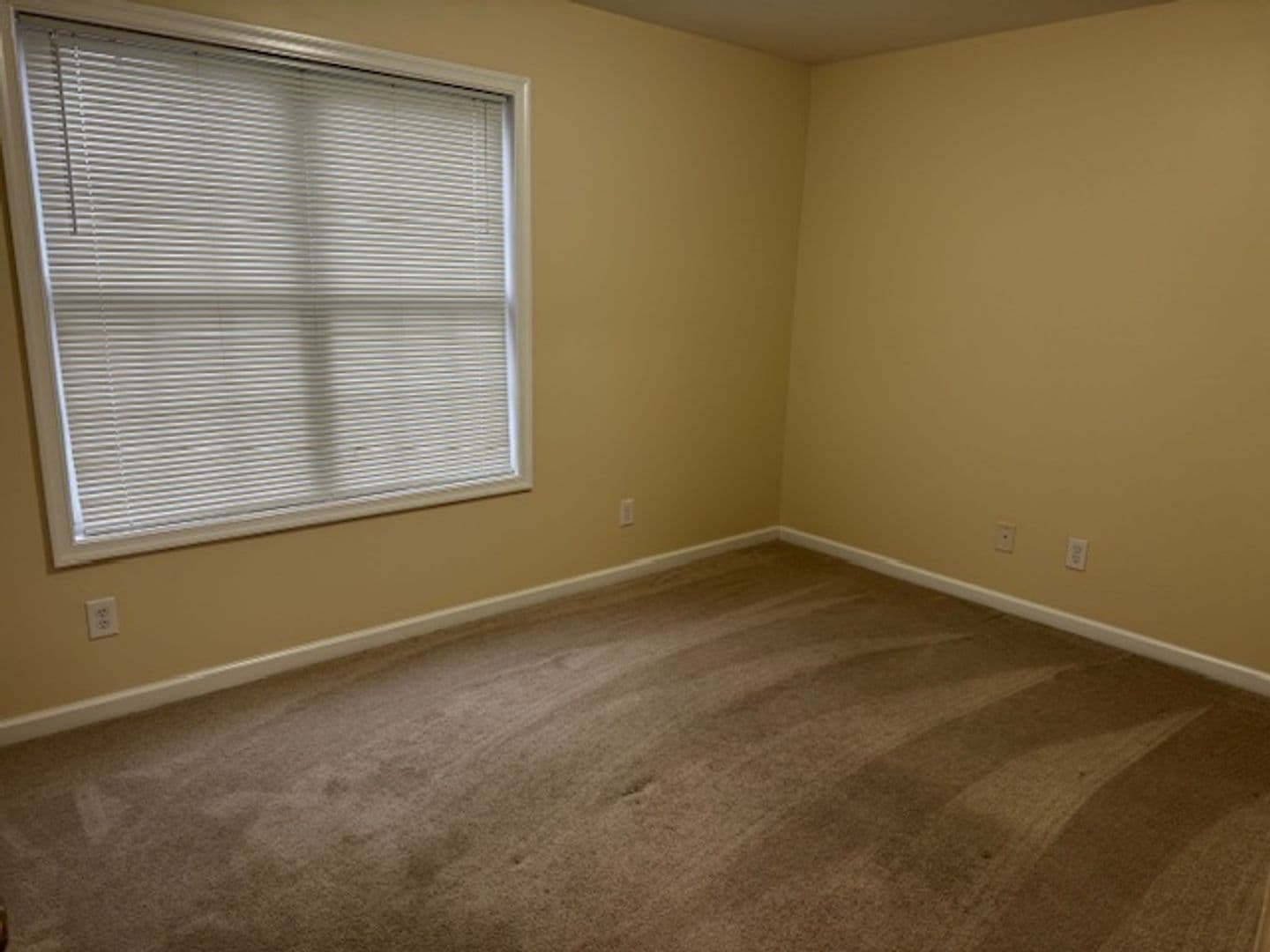 Lynchburg Townhome: 1810 Broadway Street #112