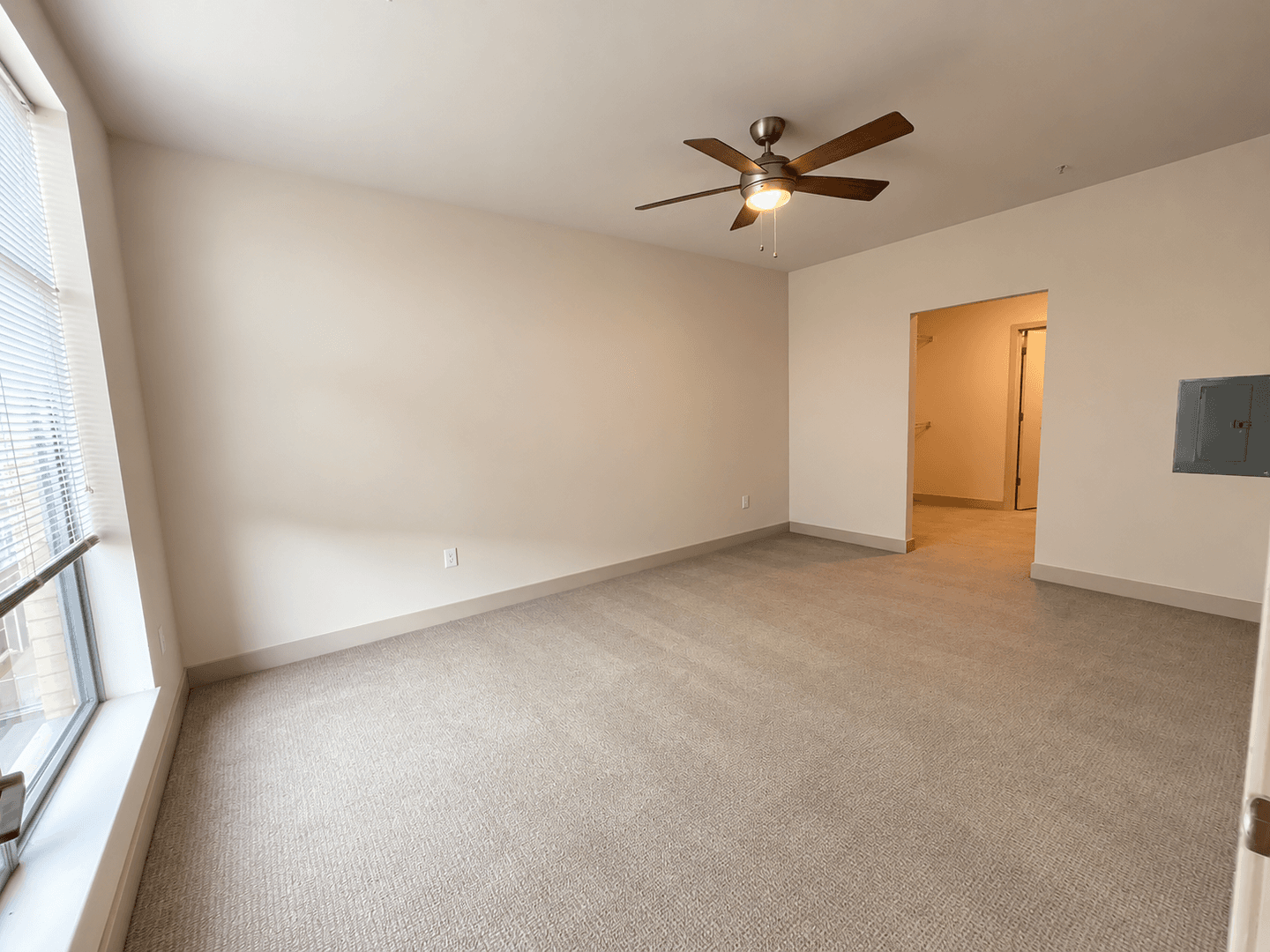 Madison Apartment: 309 S Blount st