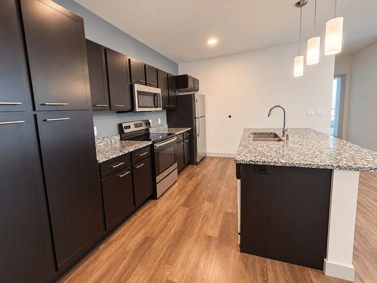 Madison Apartment: 309 S Blount st
