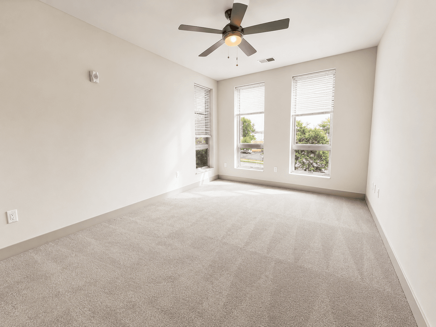 Madison Apartment: 309 S Blount st