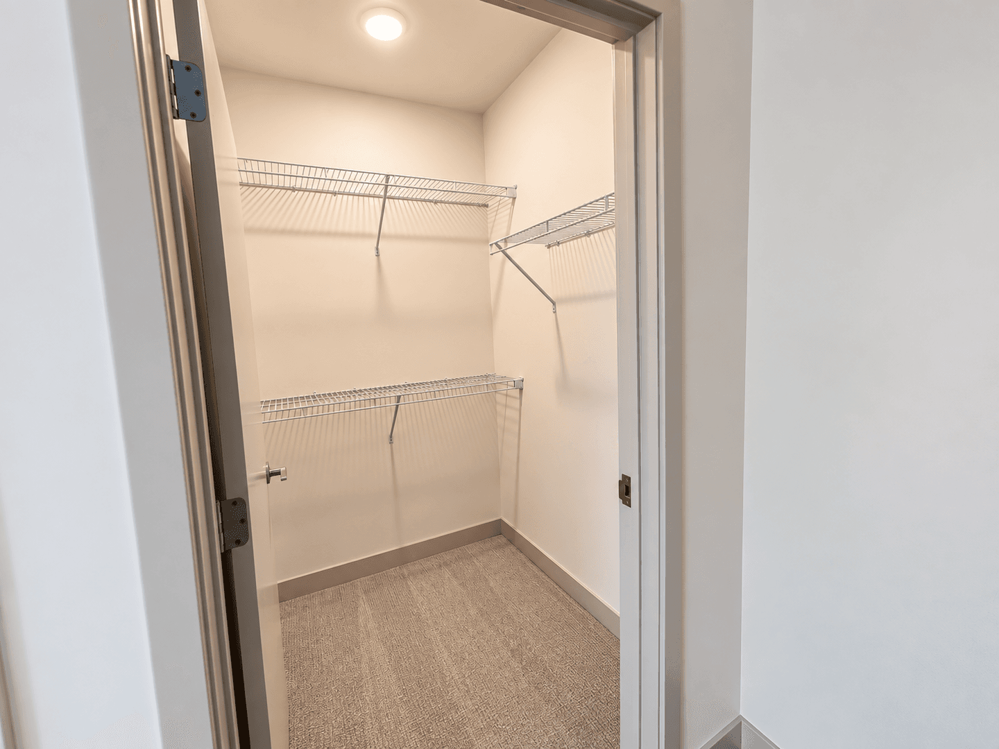 Madison Apartment: 309 S Blount st