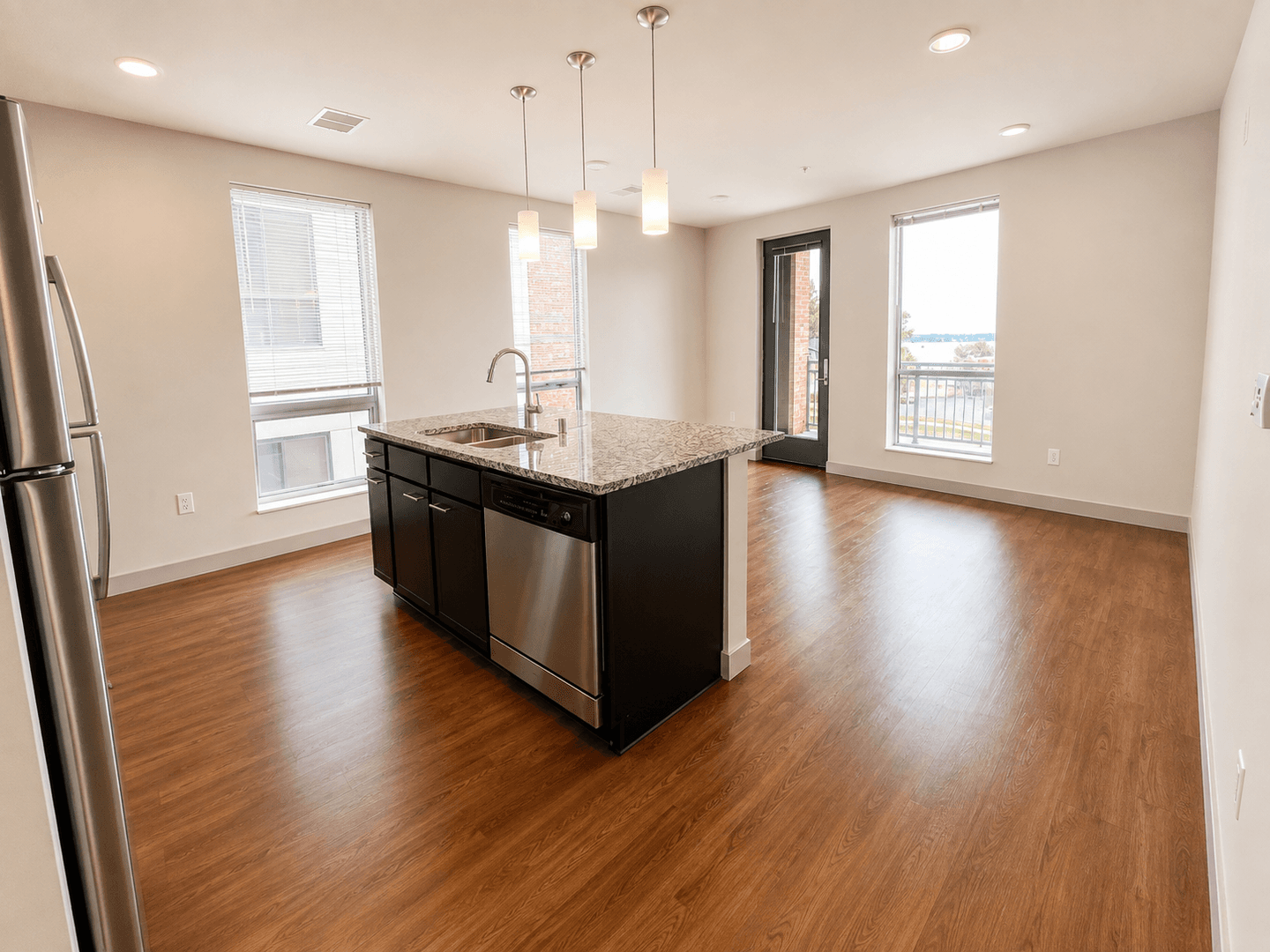 Madison Apartment: 309 S Blount st