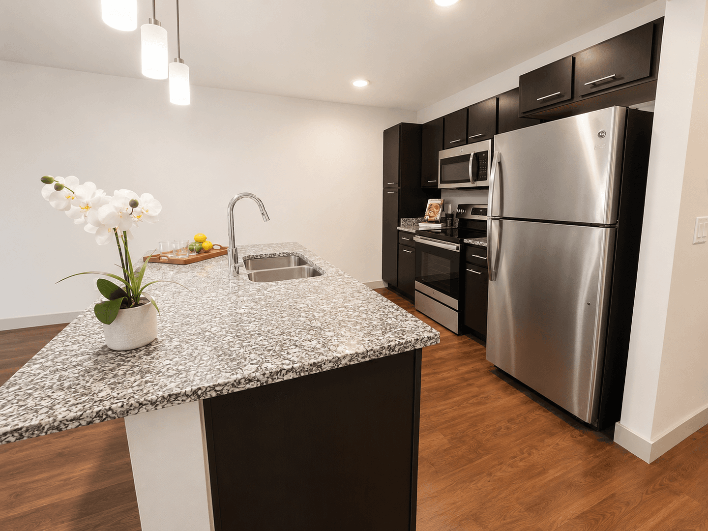 Madison Apartment: 309 S Blount st
