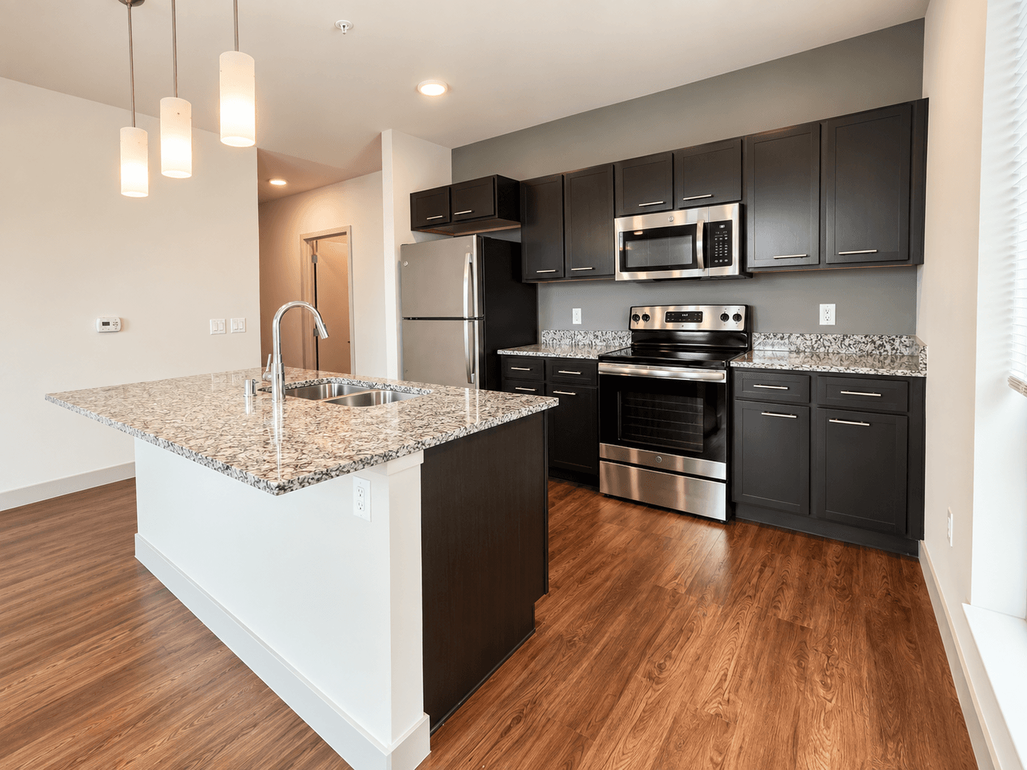 Madison Apartment: 309 S Blount st