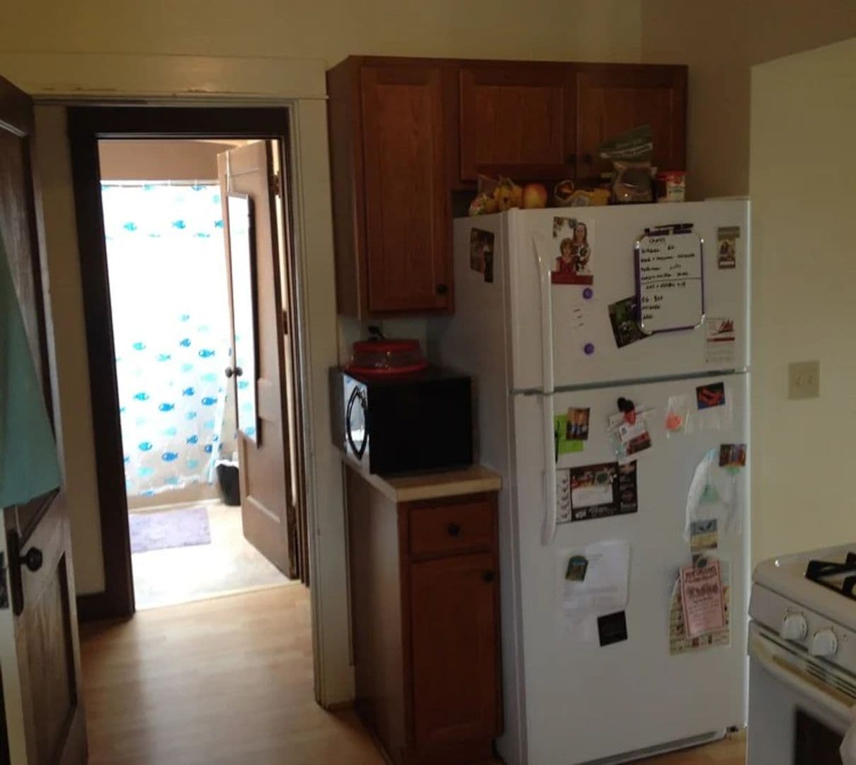 Madison Apartment: 1615 Monroe Street