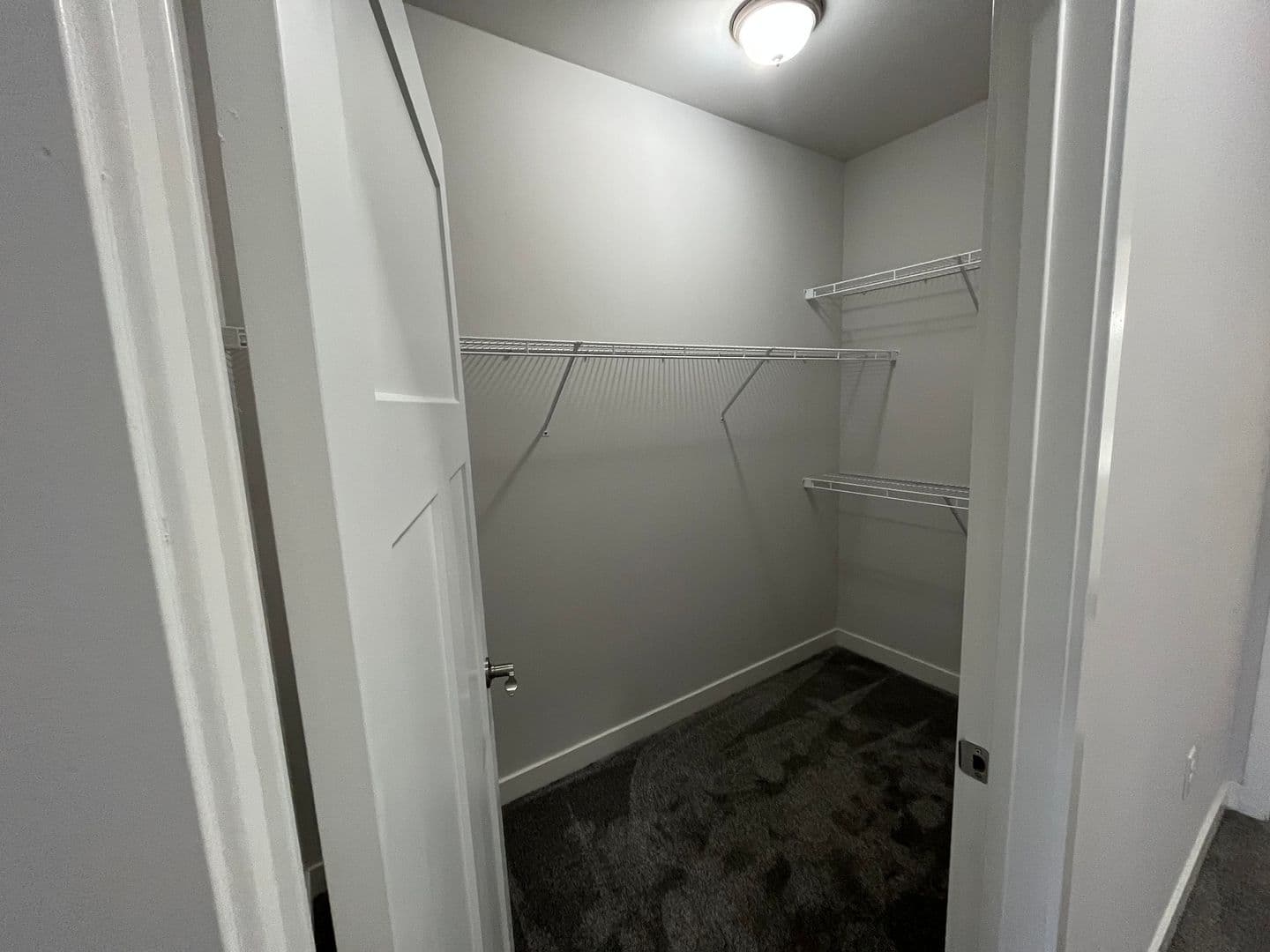 Cottage Grove Apartment: 2515 Gaston Road