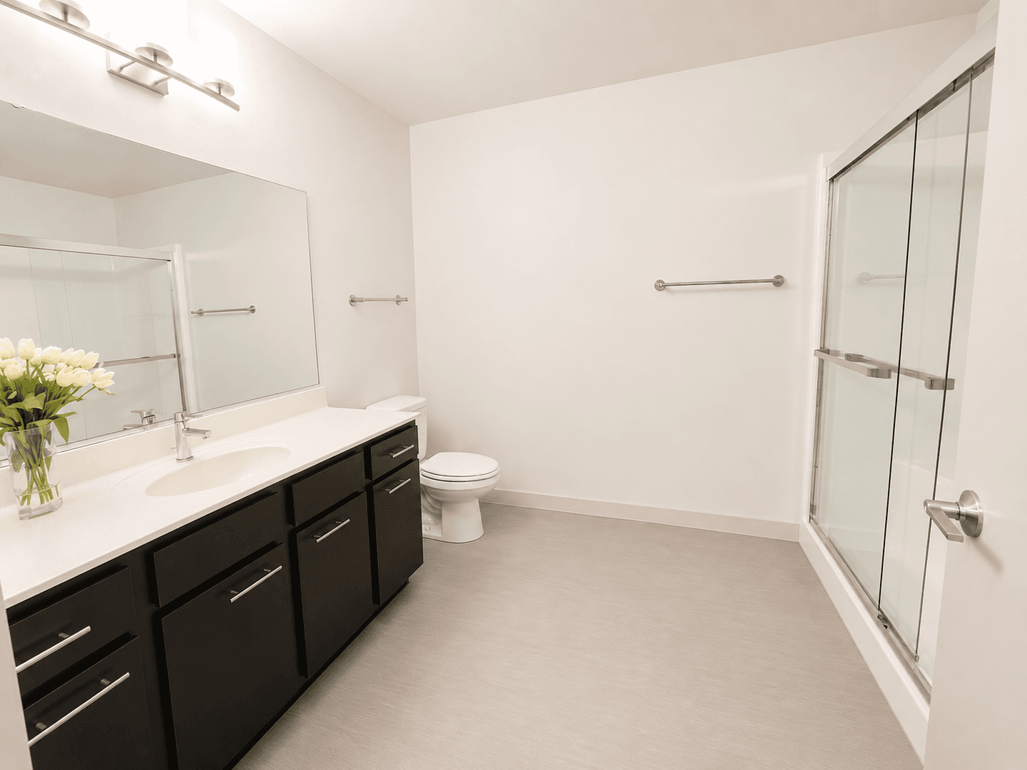 Madison Apartment: 309 S Blount st