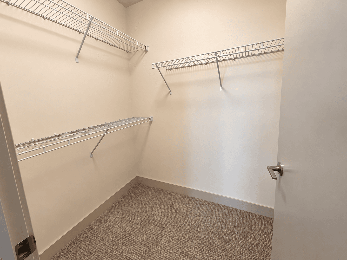 Madison Apartment: 309 S Blount st