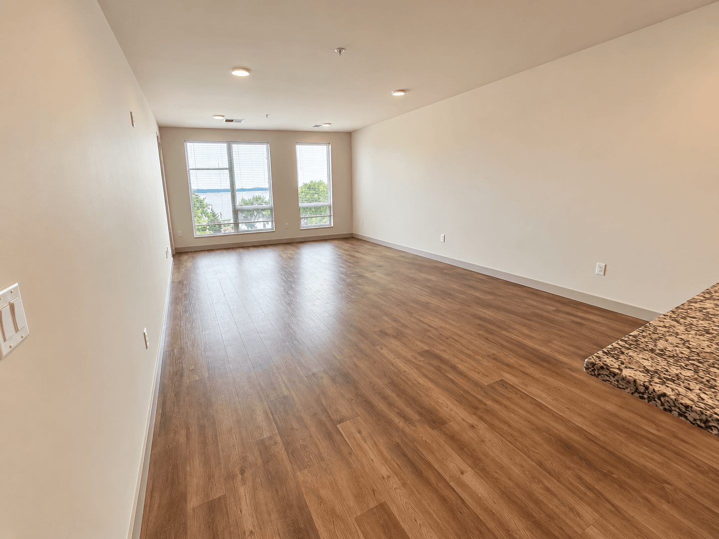 Madison Apartment: 309 S Blount st