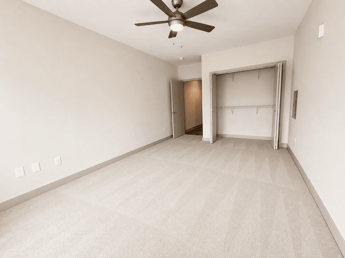Madison Apartment: 309 S Blount st