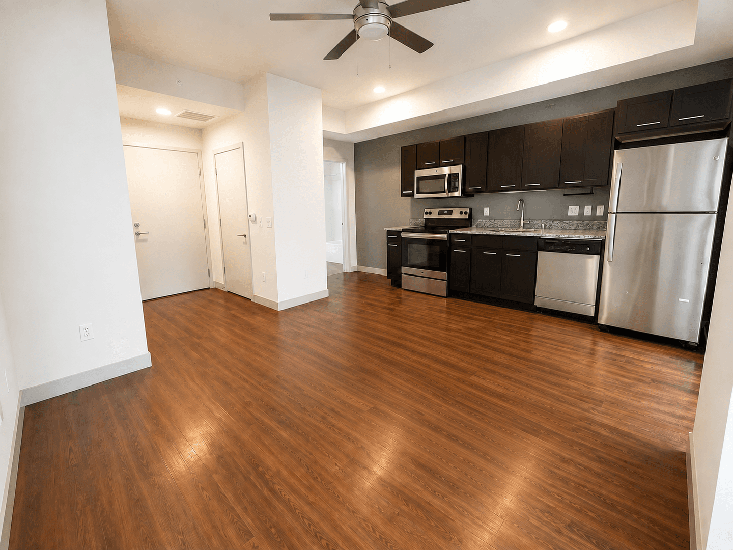 Madison Apartment: 309 S Blount st