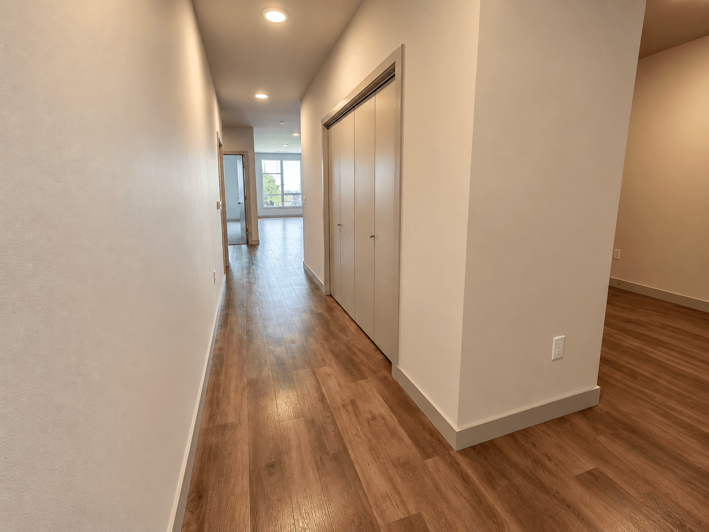 Madison Apartment: 309 S Blount st