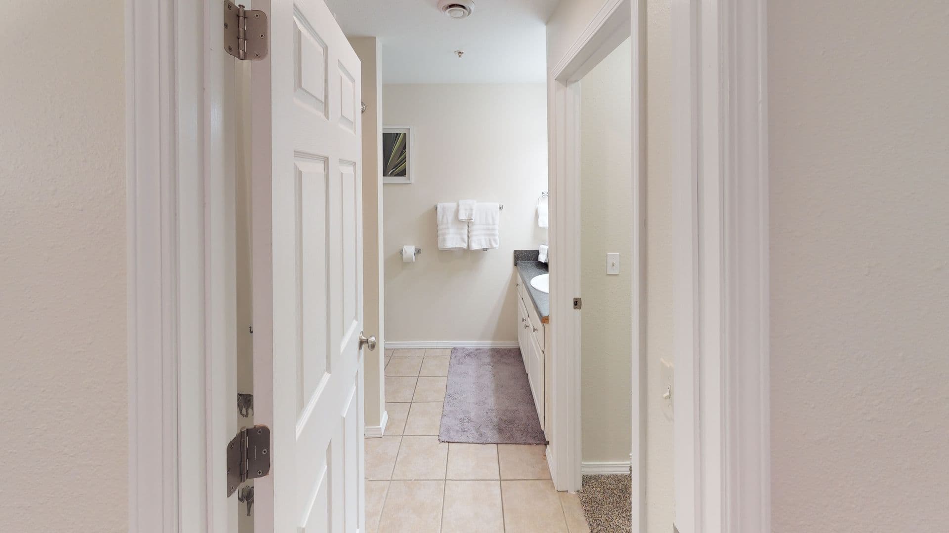 Springfield Apartment: 923 W. Battlefield