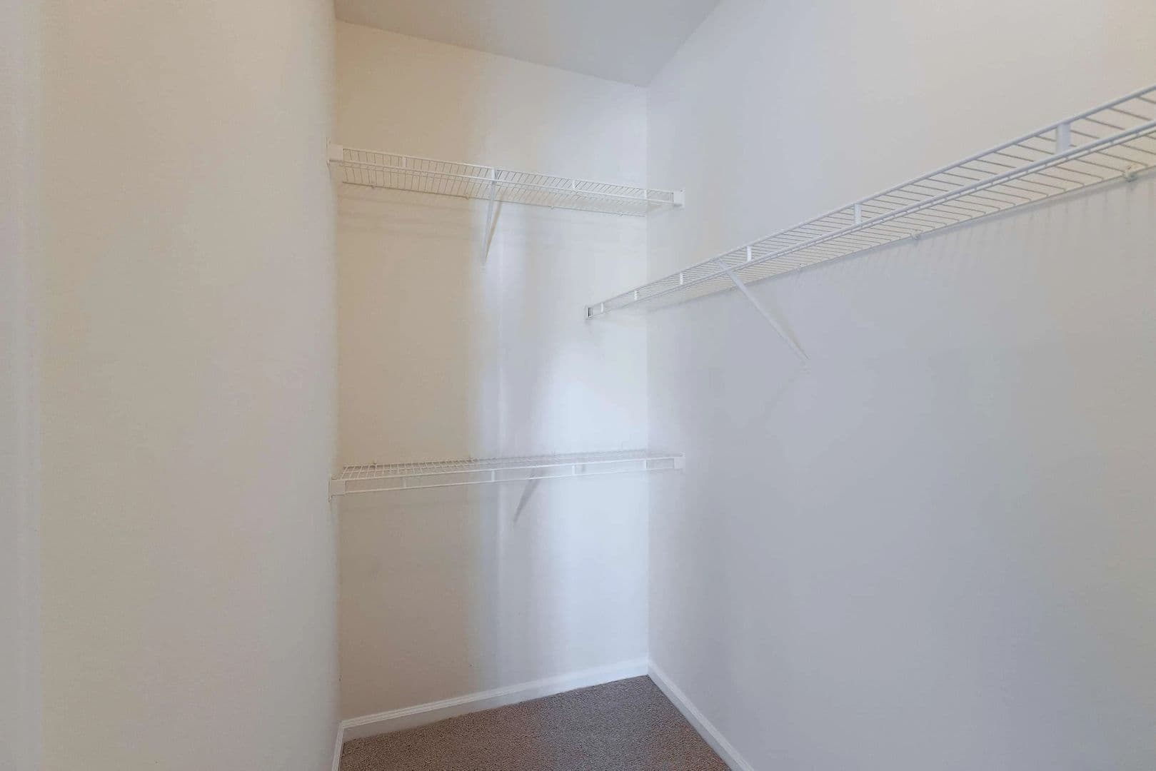 Greensboro Apartment: 4480 Platinum Drive
