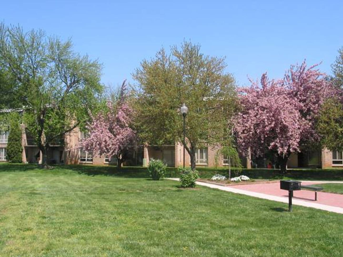 Frederick Condo: 501 Prospect Blvd. Unit 8A