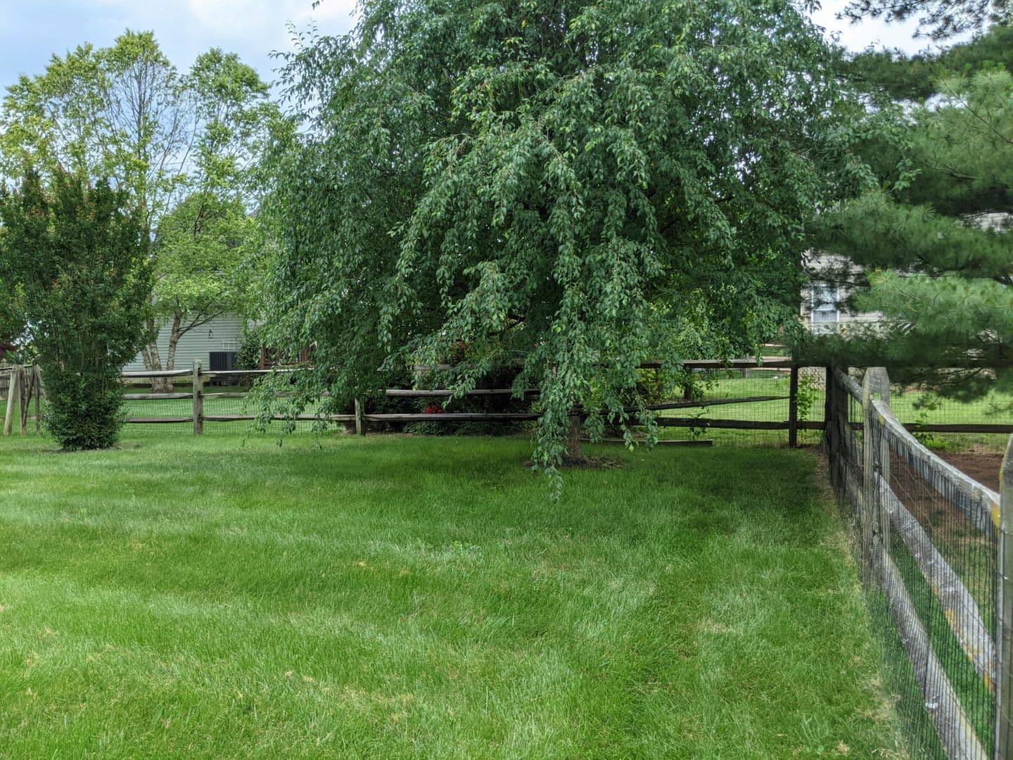 Frederick House: 403 McClellan Drive